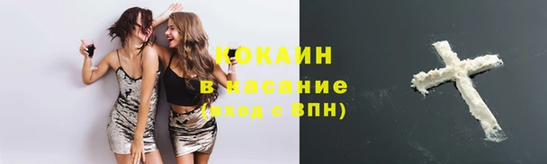 молекула духа Вязьма
