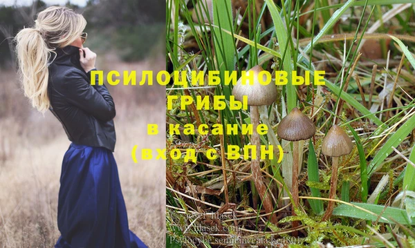 прущая мука Пролетарск