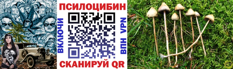 Псилоцибиновые грибы прущие грибы  Купить  Шадринск 